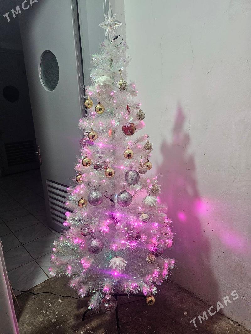 taze ýyl Ýolka - Aşgabat - img 3