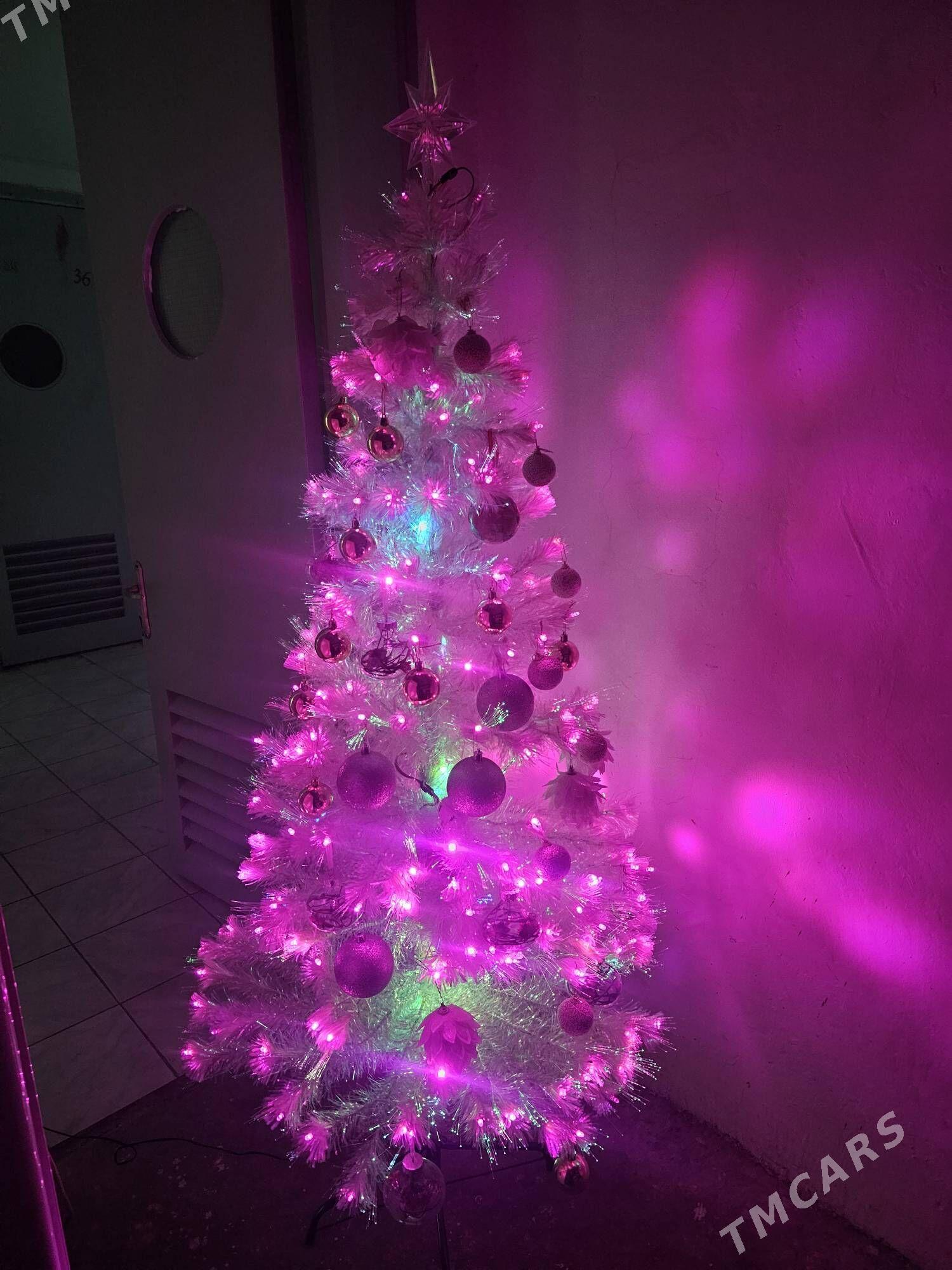 taze ýyl Ýolka - Aşgabat - img 1