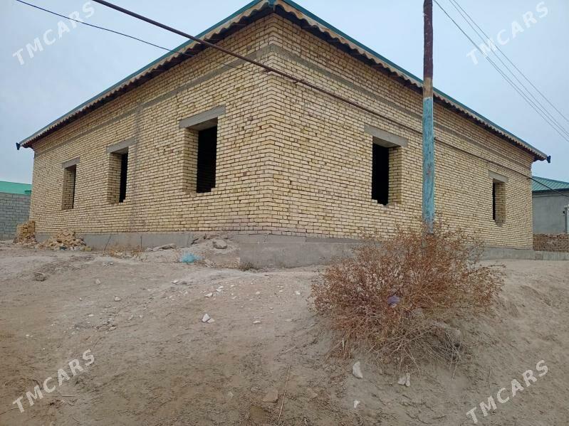 Satylyk jay - Daşoguz - img 5