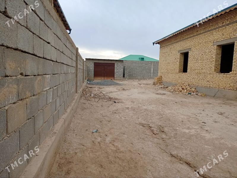 Satylyk jay - Daşoguz - img 6