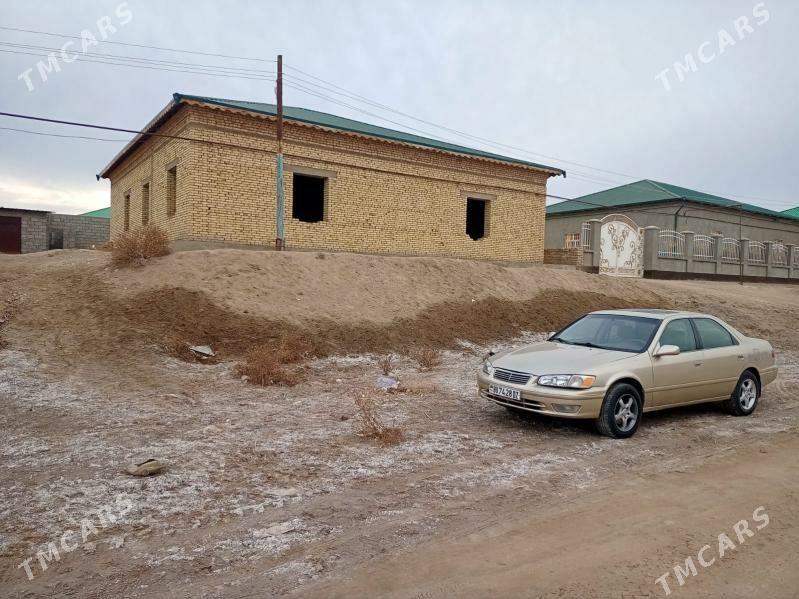 Satylyk jay - Daşoguz - img 2