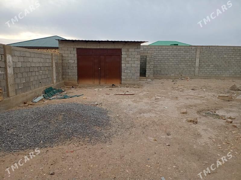 Satylyk jay - Daşoguz - img 4