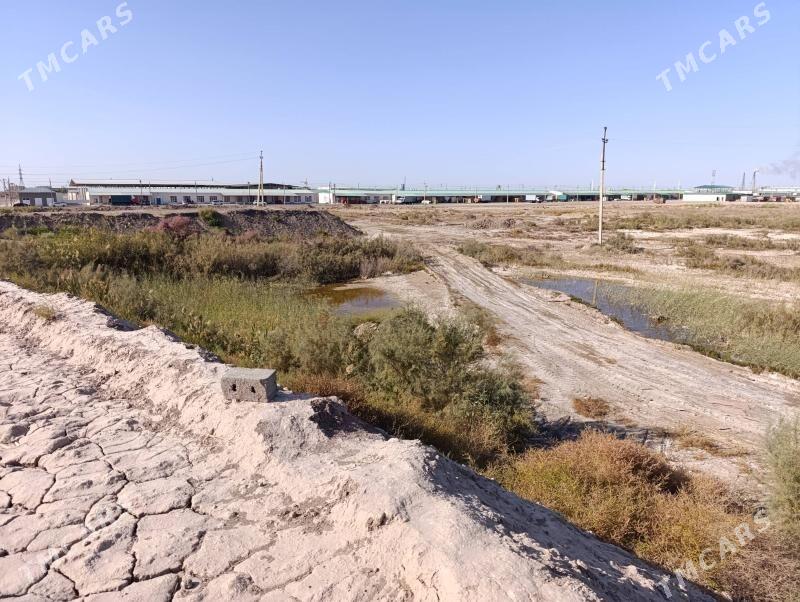 Satlyk Mellek jay - Türkmenabat - img 5