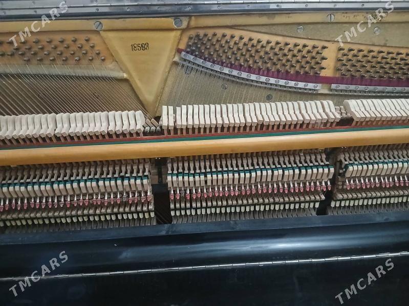 Pianino/Пианино - Änew - img 2