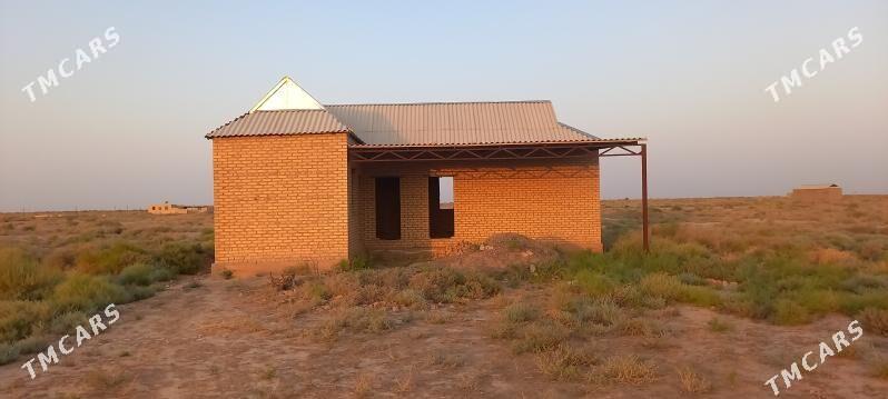 satlyk jay - Sarahs - img 1