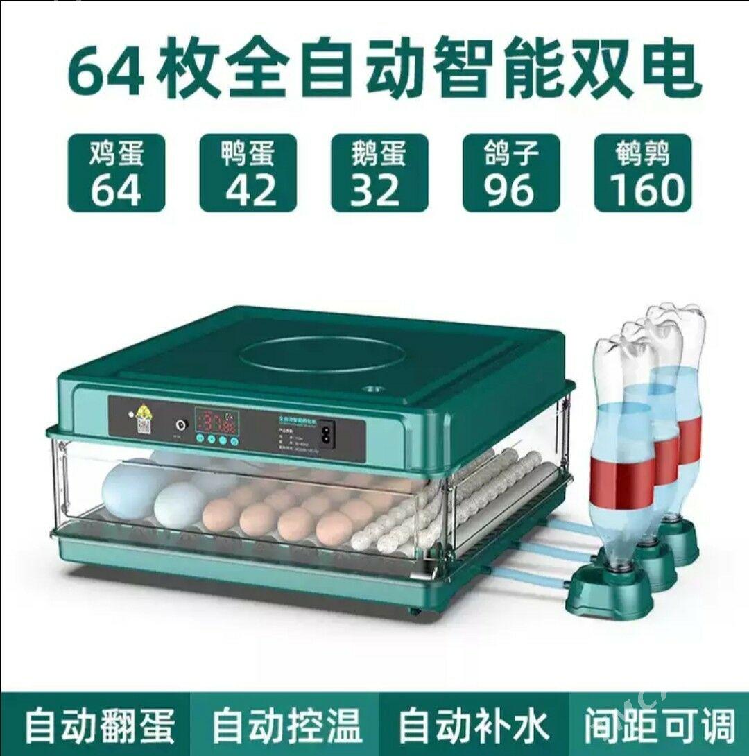 jüje incabator - Ýalkym - img 2