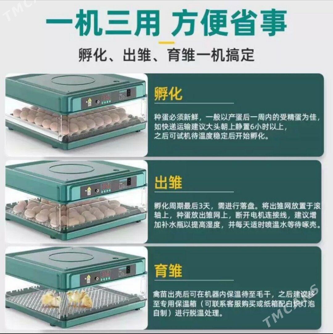 jüje incabator - Ýalkym - img 3