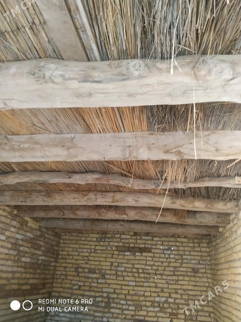 Daca - Сейди - img 8