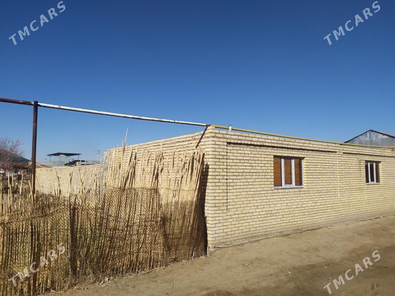 Daca - Сейди - img 4