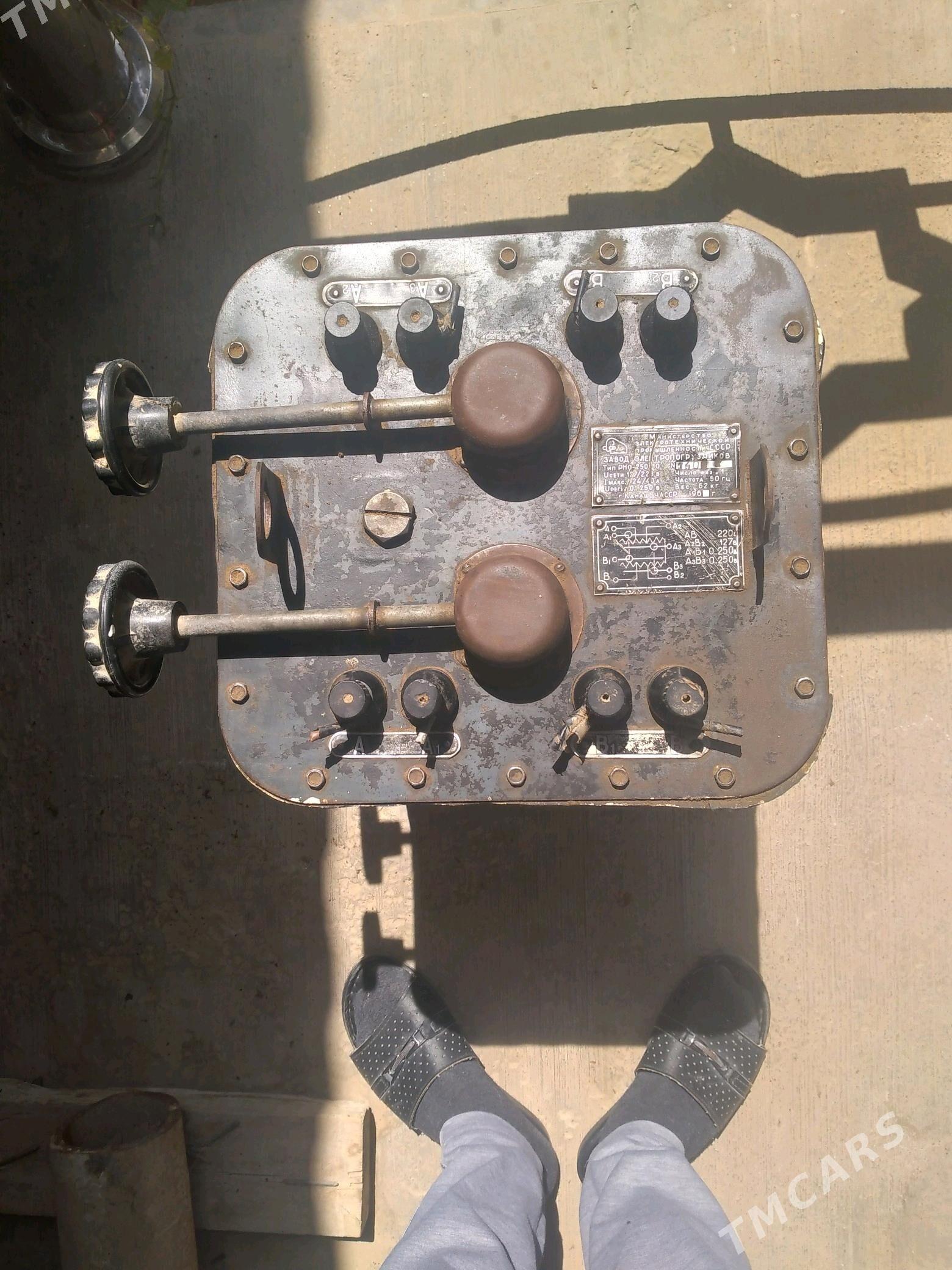 Pastayanka mator - Tejen - img 2