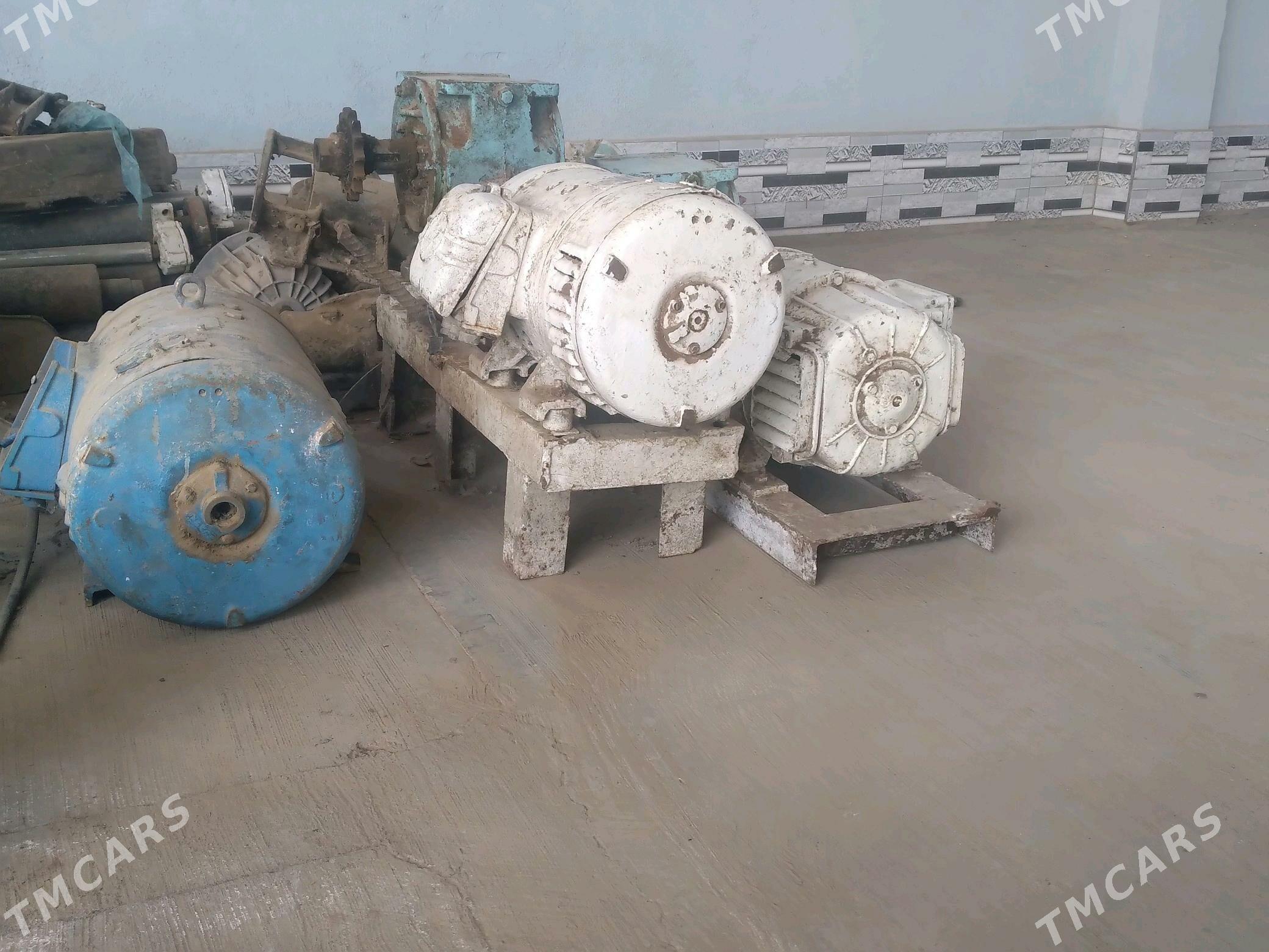 Pastayanka mator - Tejen - img 3