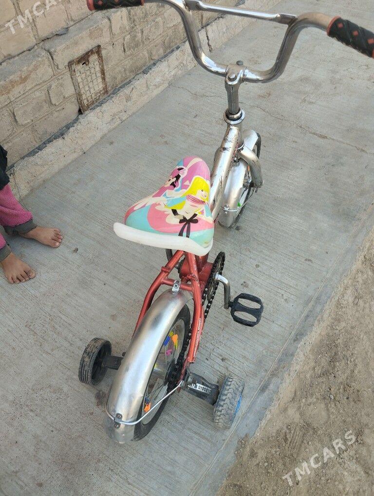 çaga welsepit - Sakarçäge - img 1