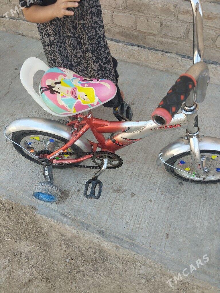 çaga welsepit - Sakarçäge - img 2