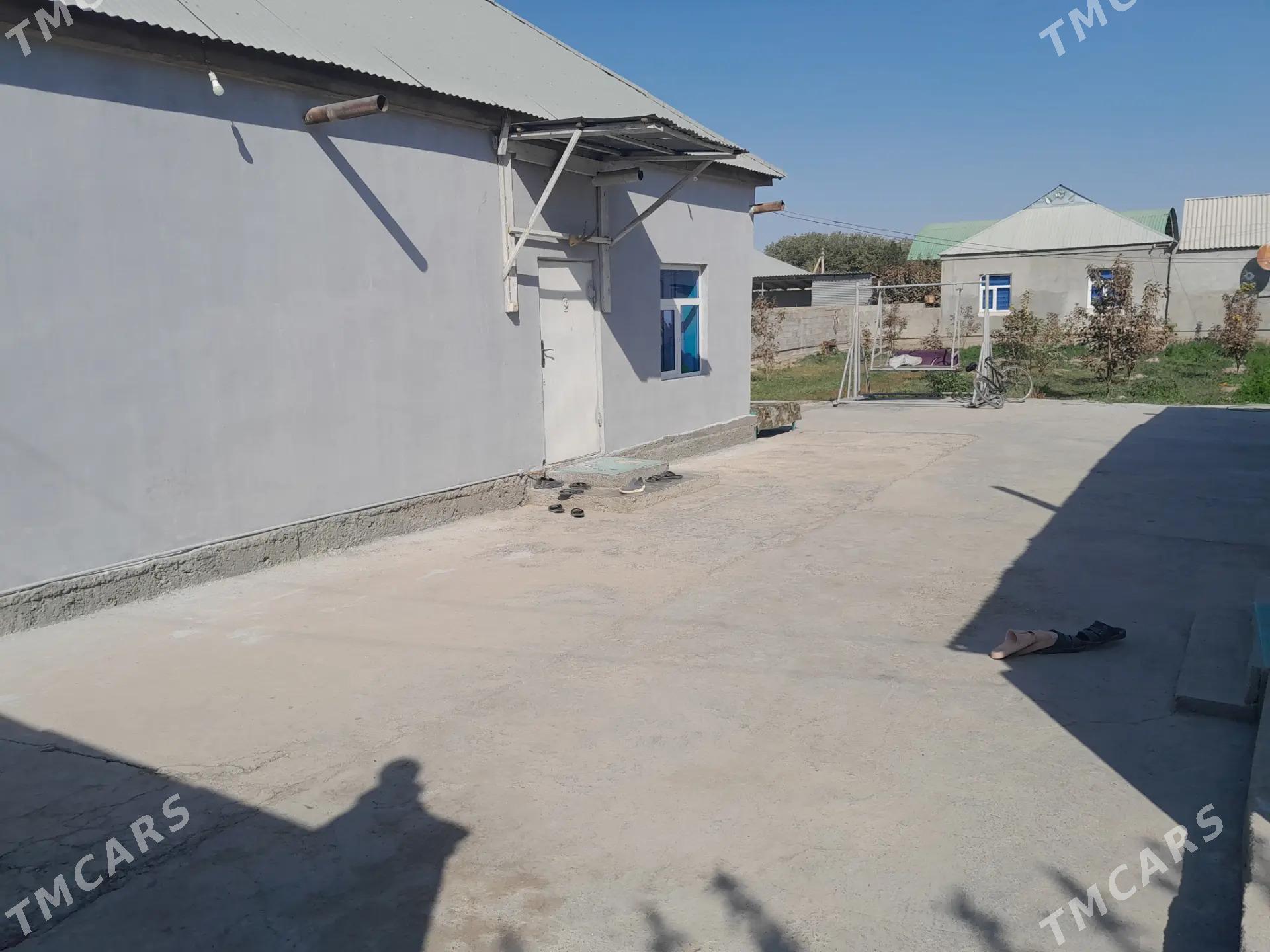 jaý kiwartira - Gökdepe - img 2