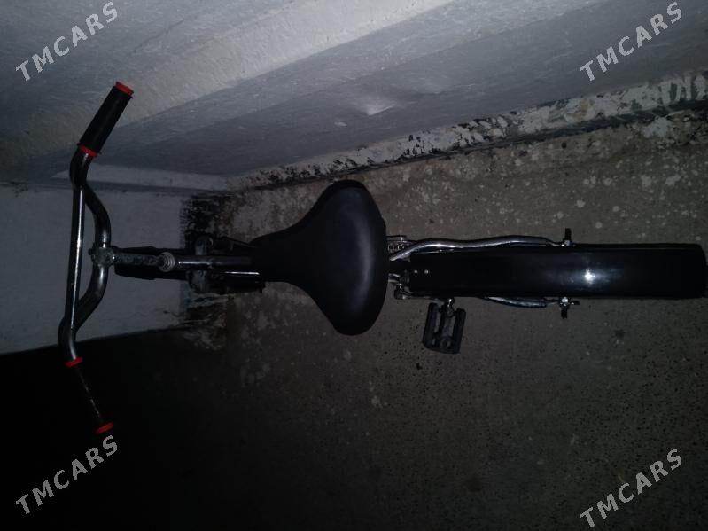 tigir - Бекреве - img 3