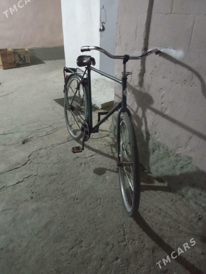 tigir 600 lik - Ак-Бугдайский этрап - img 1