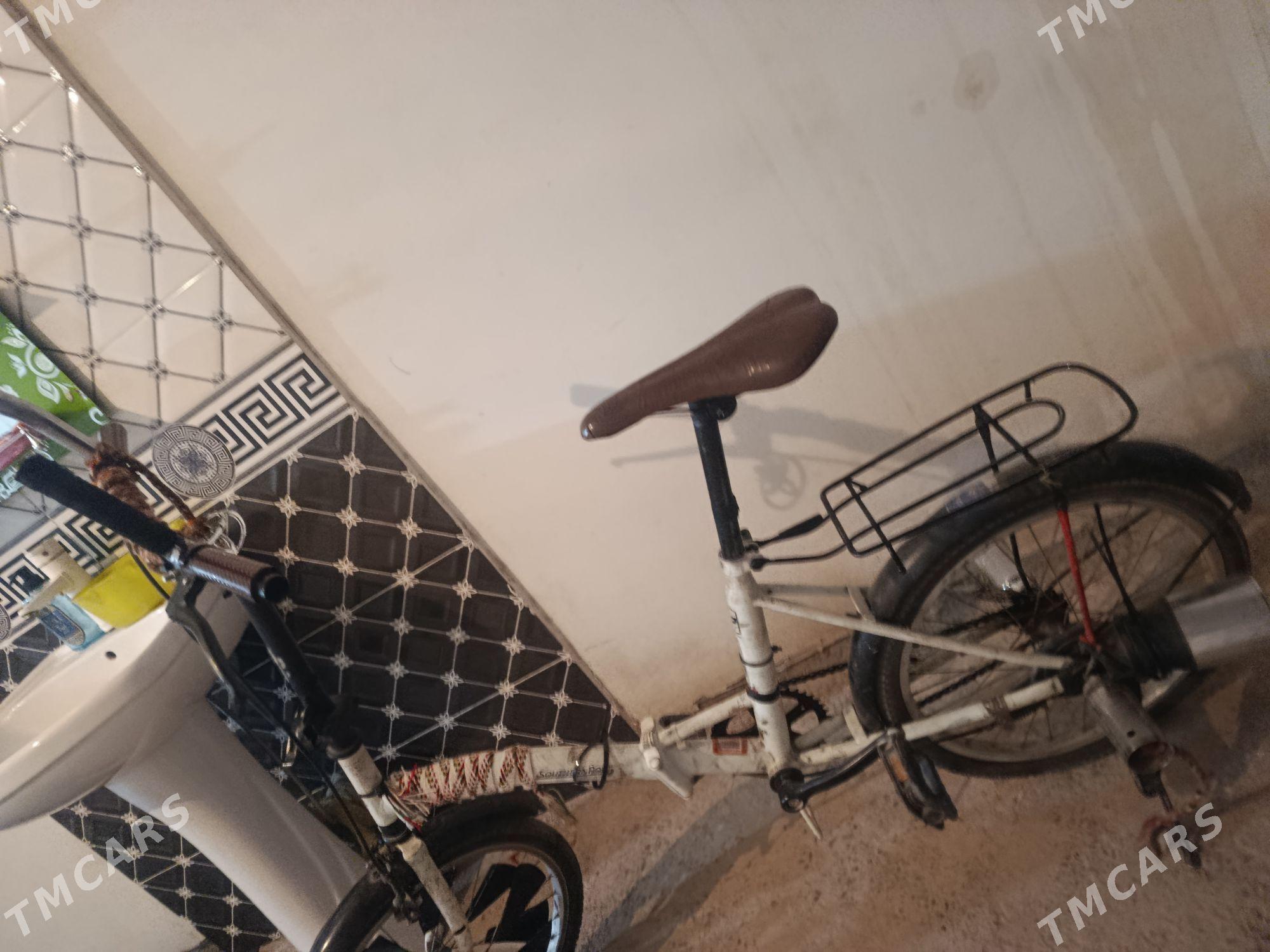 veli - Daşoguz - img 2