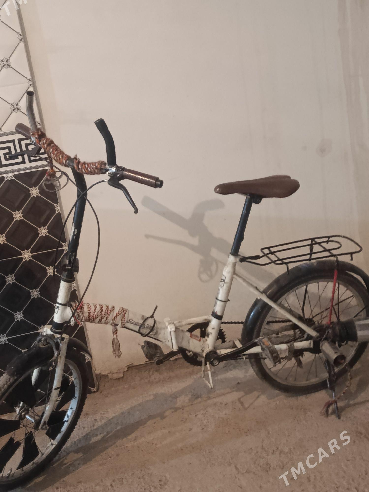 veli - Daşoguz - img 1