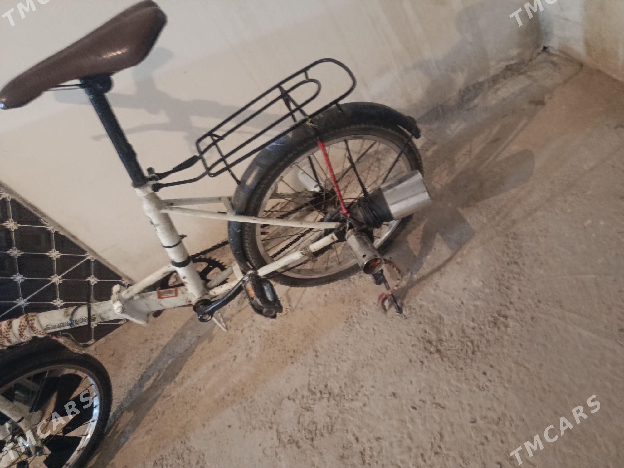 veli - Daşoguz - img 3