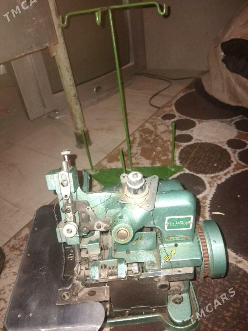 awilok - Шабатский этрап - img 1