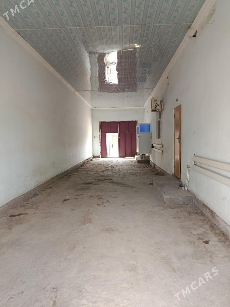 Jay - Akdepe - img 6