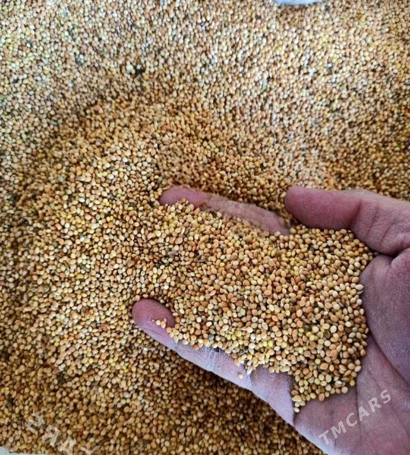 КОРМ ДЛЯ ВОЛНИСТЫХ ПОПУГАЕВ - Ашхабад - img 2