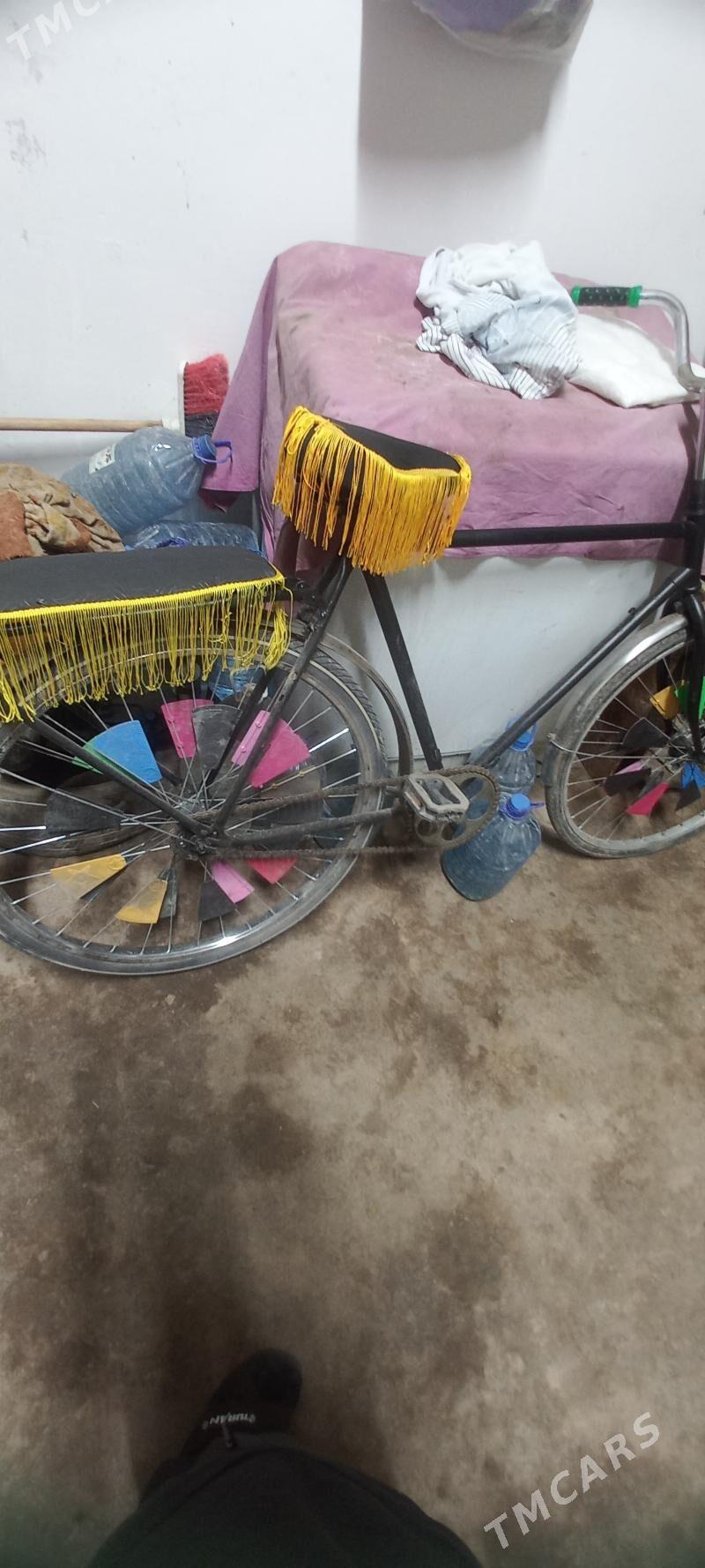 ural velik - Köneürgenç - img 1