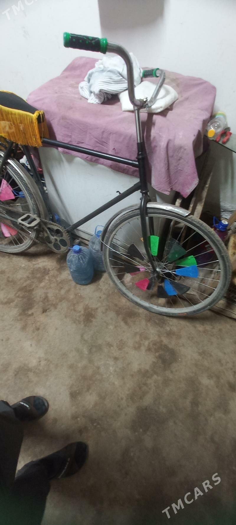 ural velik - Köneürgenç - img 2