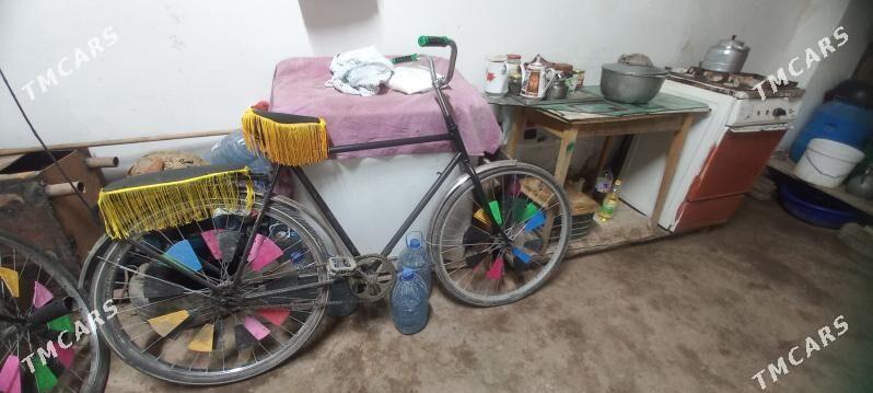 ural velik - Köneürgenç - img 3