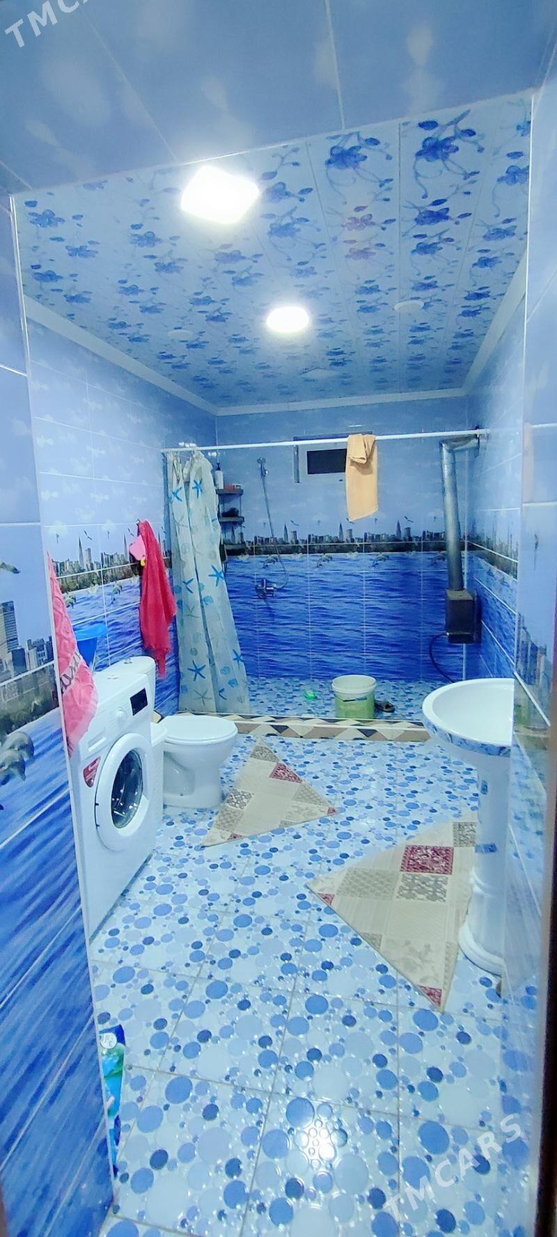 jay - Sakarçäge - img 10