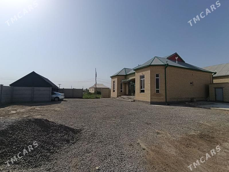 jay - Sakarçäge - img 3