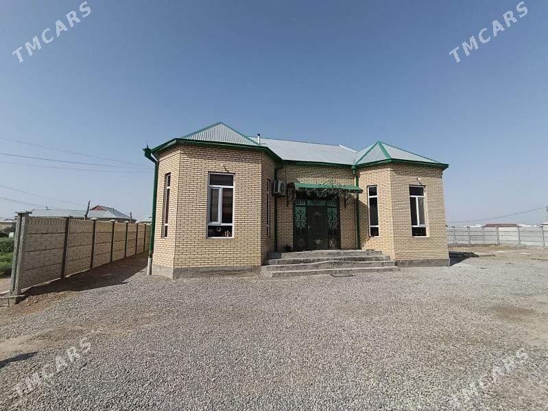 jay - Sakarçäge - img 1