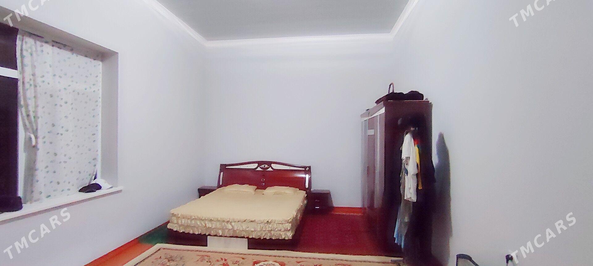 jay - Sakarçäge - img 8