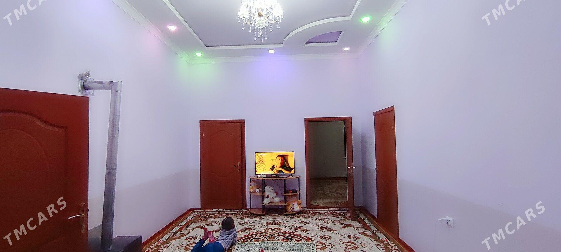 jay - Sakarçäge - img 7