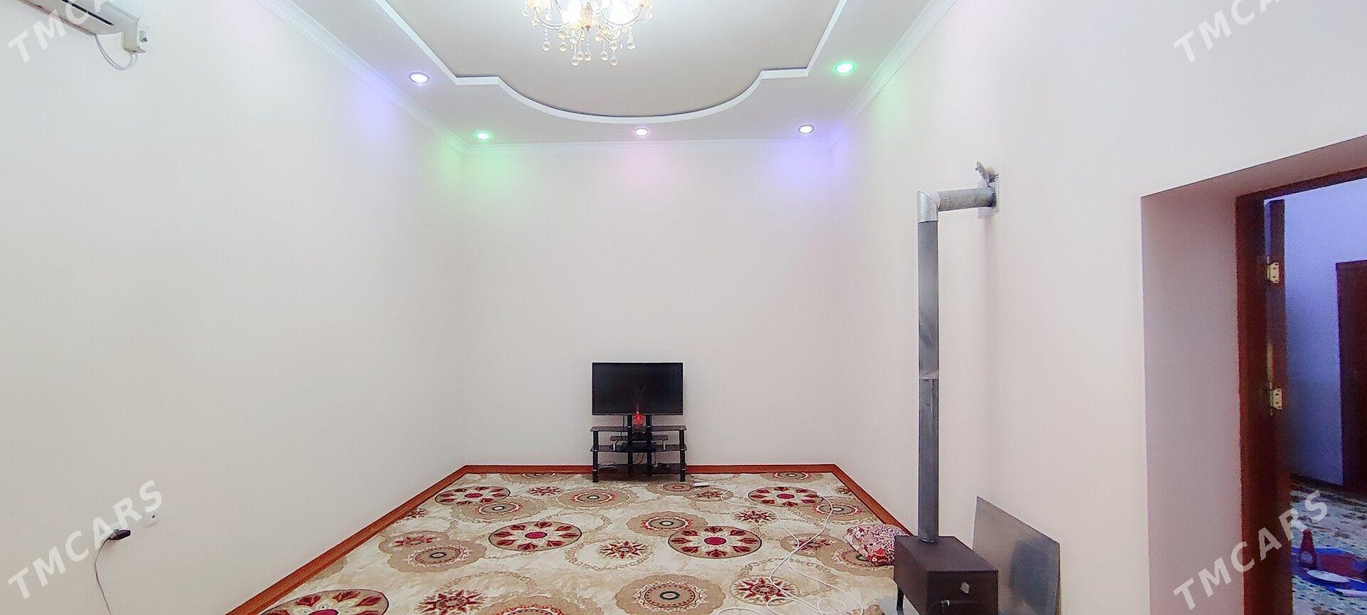 jay - Sakarçäge - img 9