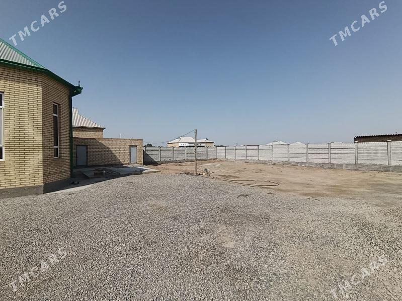 jay - Sakarçäge - img 2