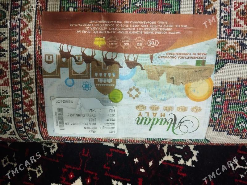 haly - Türkmenbaşy - img 2