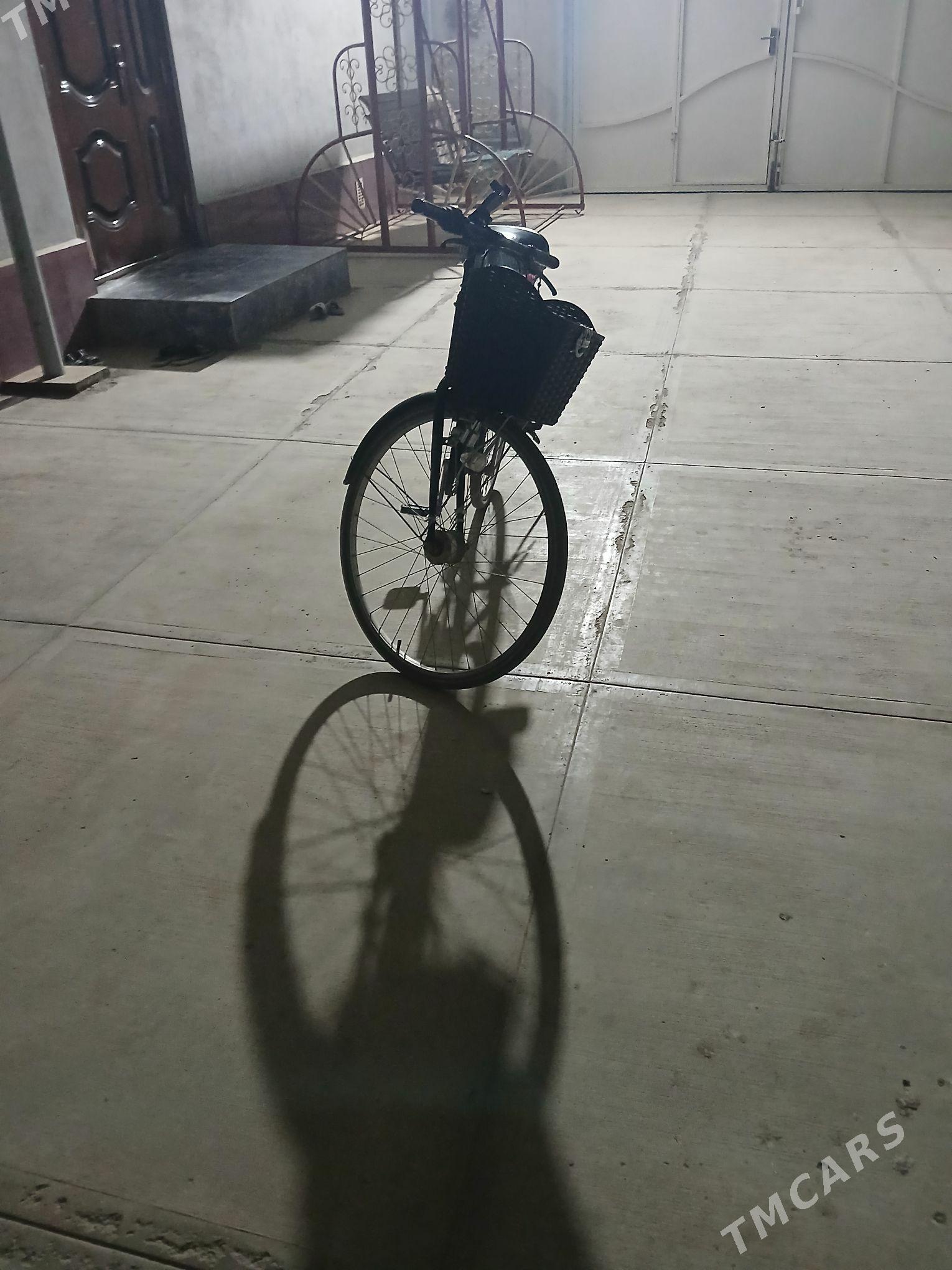 tigir 27 - Babadaýhan - img 2