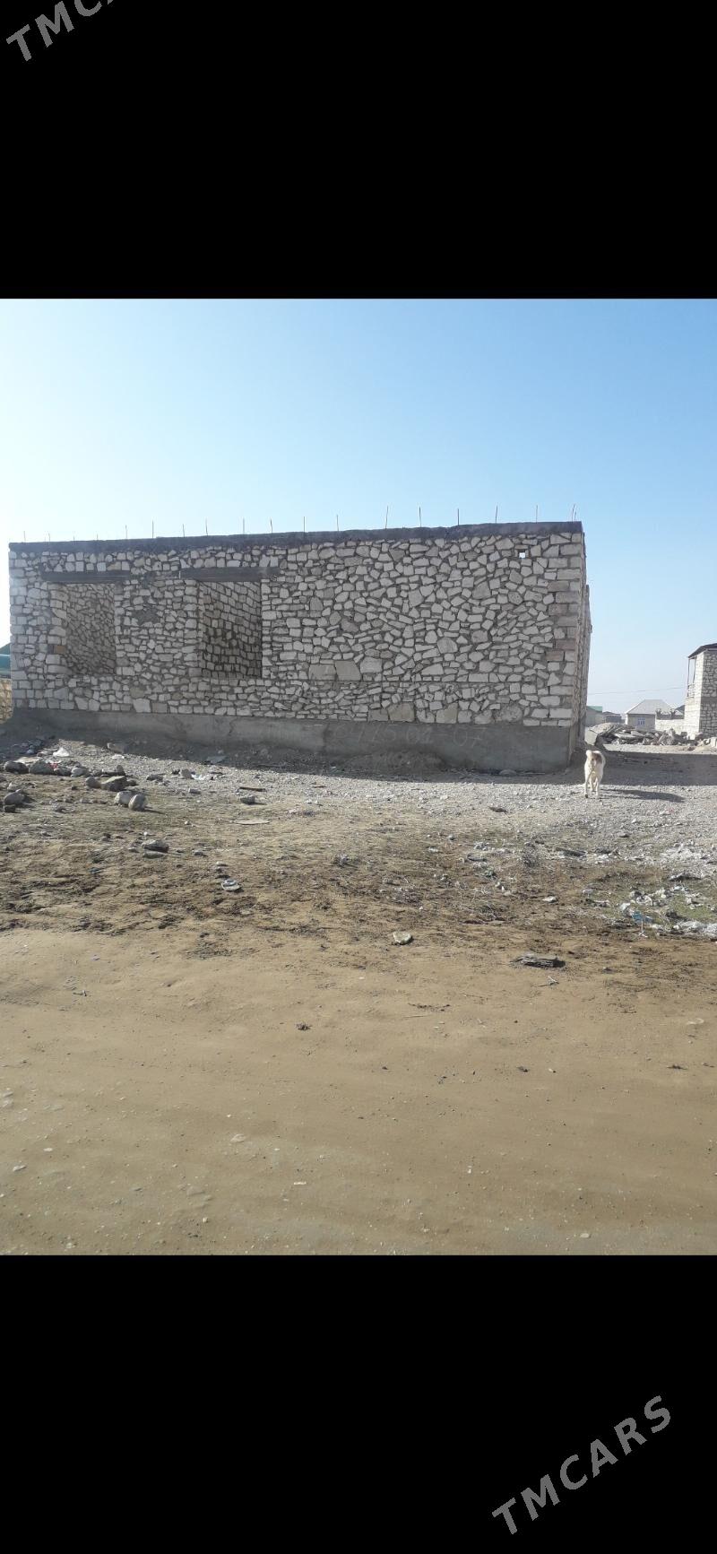 Boyy yetirilen uly beyik jay - Балканабат - img 3