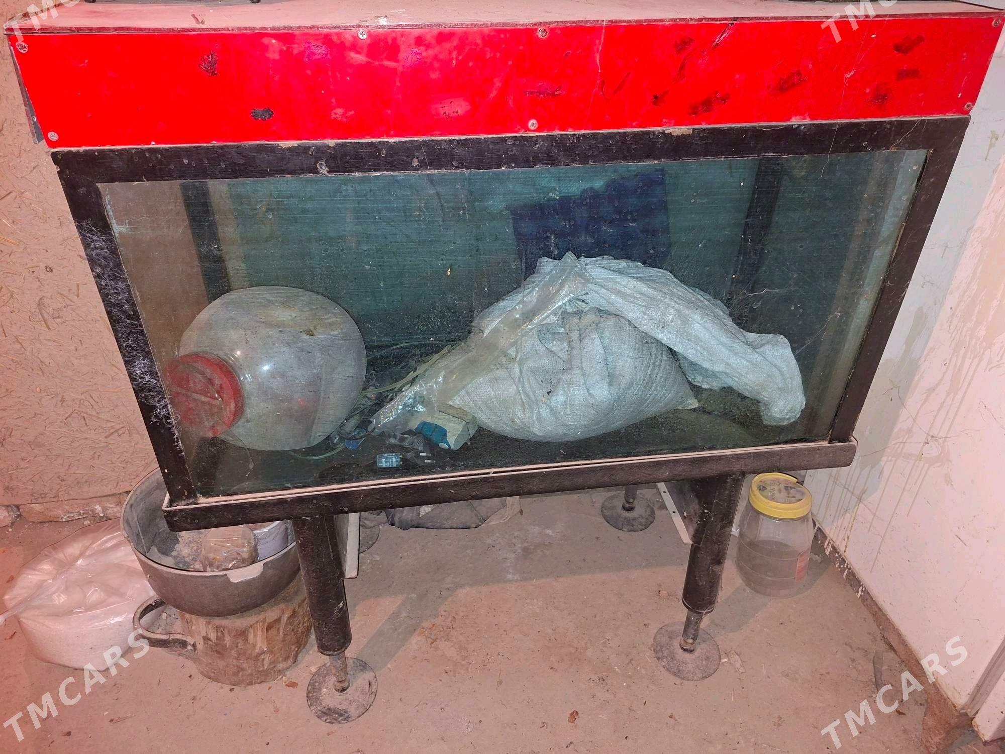 akvaryum 200 litr - Daşoguz - img 2