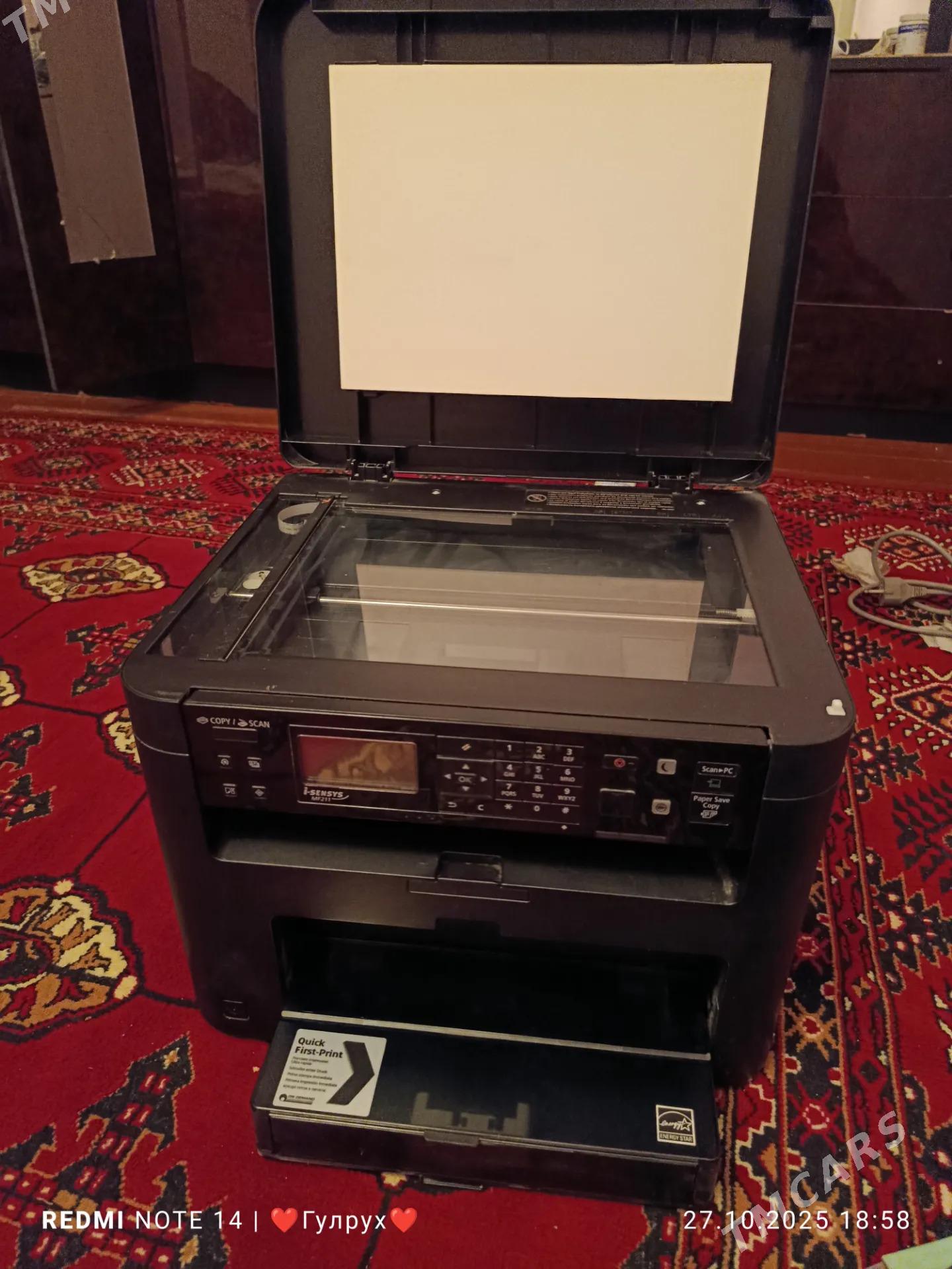 PLINTER CANON - Gurbansoltan Eje - img 3