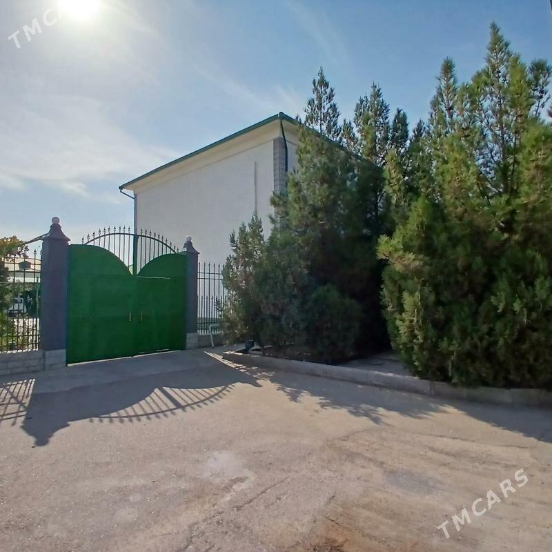 Taze zaman 2 - Тязе заман - img 2