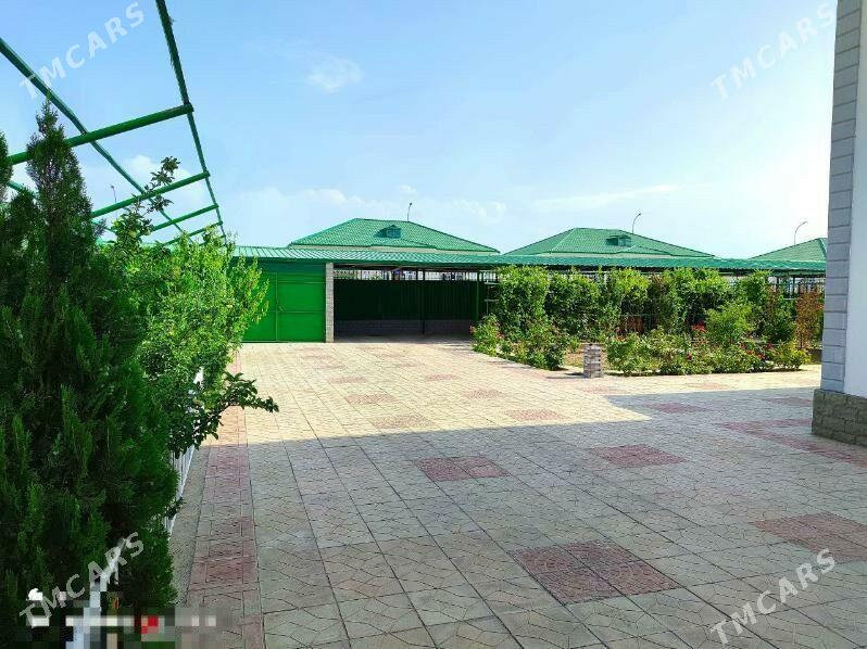 Taze zaman 2 - Тязе заман - img 3