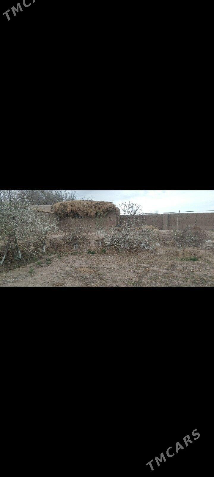 emlak Arjankiziya - Daşoguz - img 10