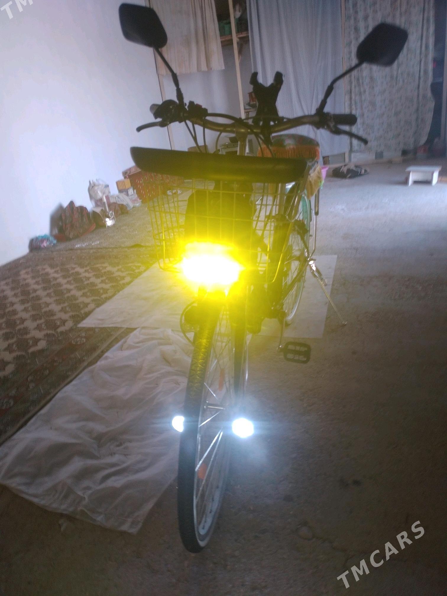 welik - Gumdag - img 3