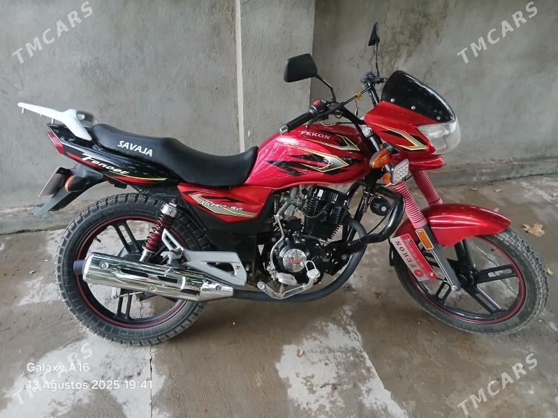 Fekon FK200-14G 2024 - 15 500 TMT - Halaç - img 2