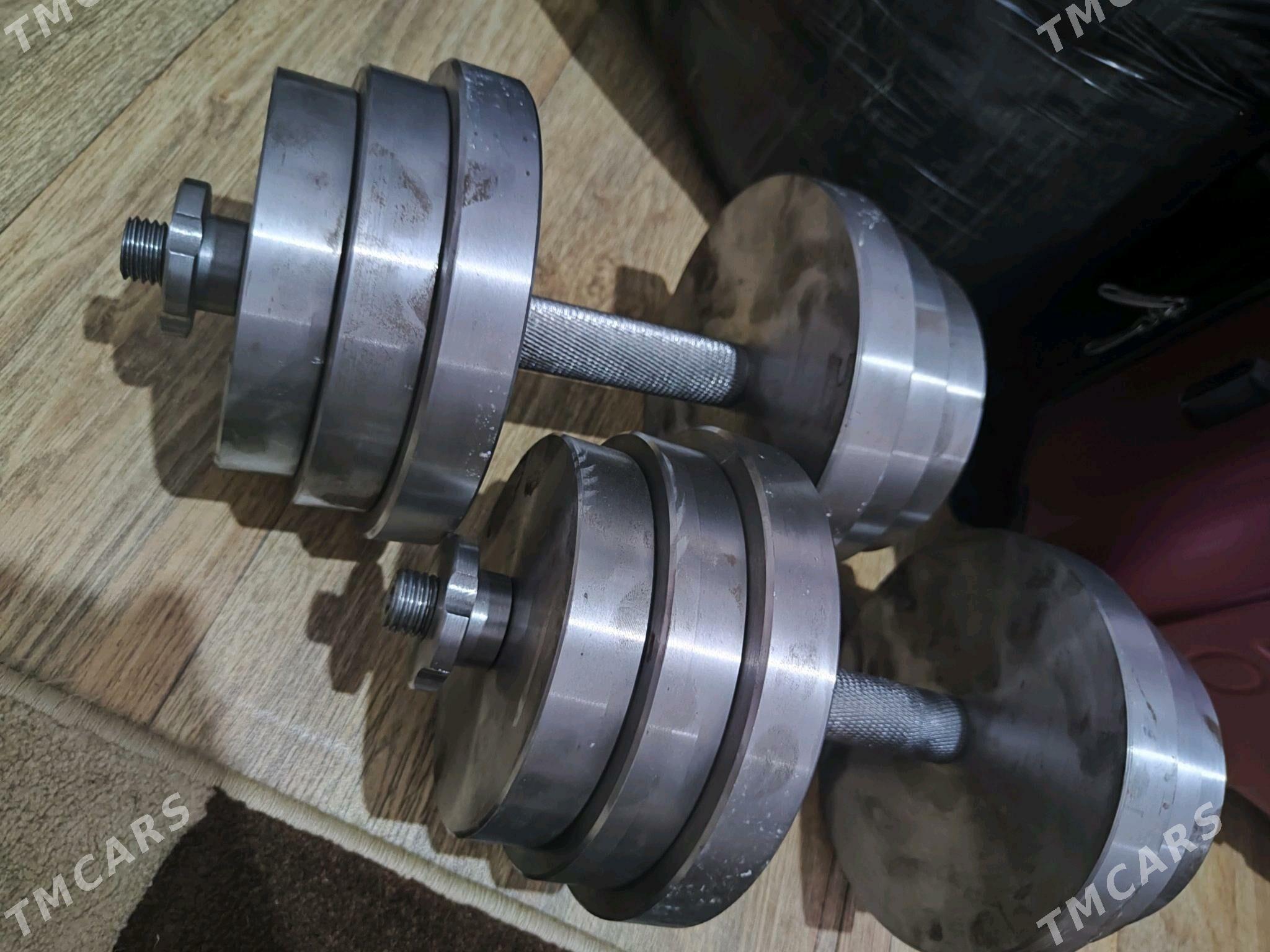 Gantel Ştanga - Türkmenbaşy - img 1