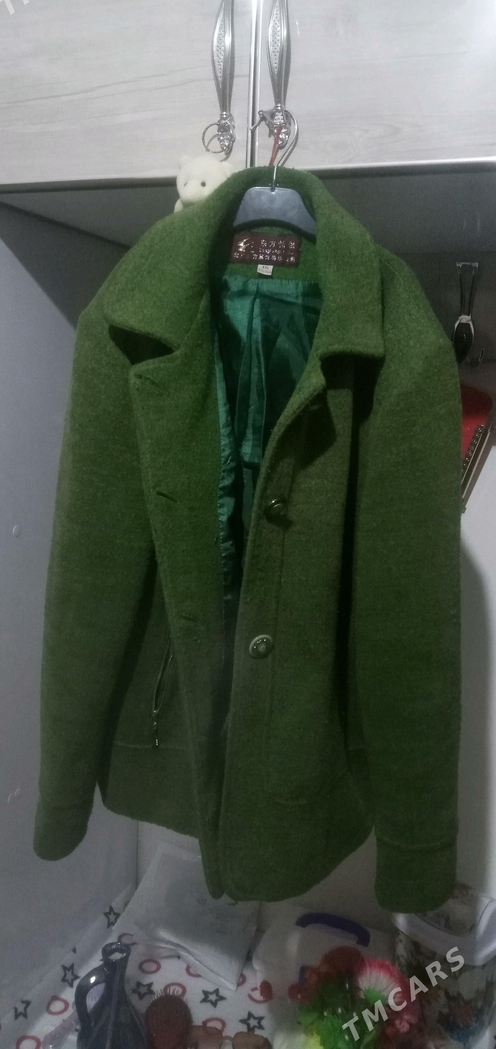 KOYNEK - Daşoguz - img 5