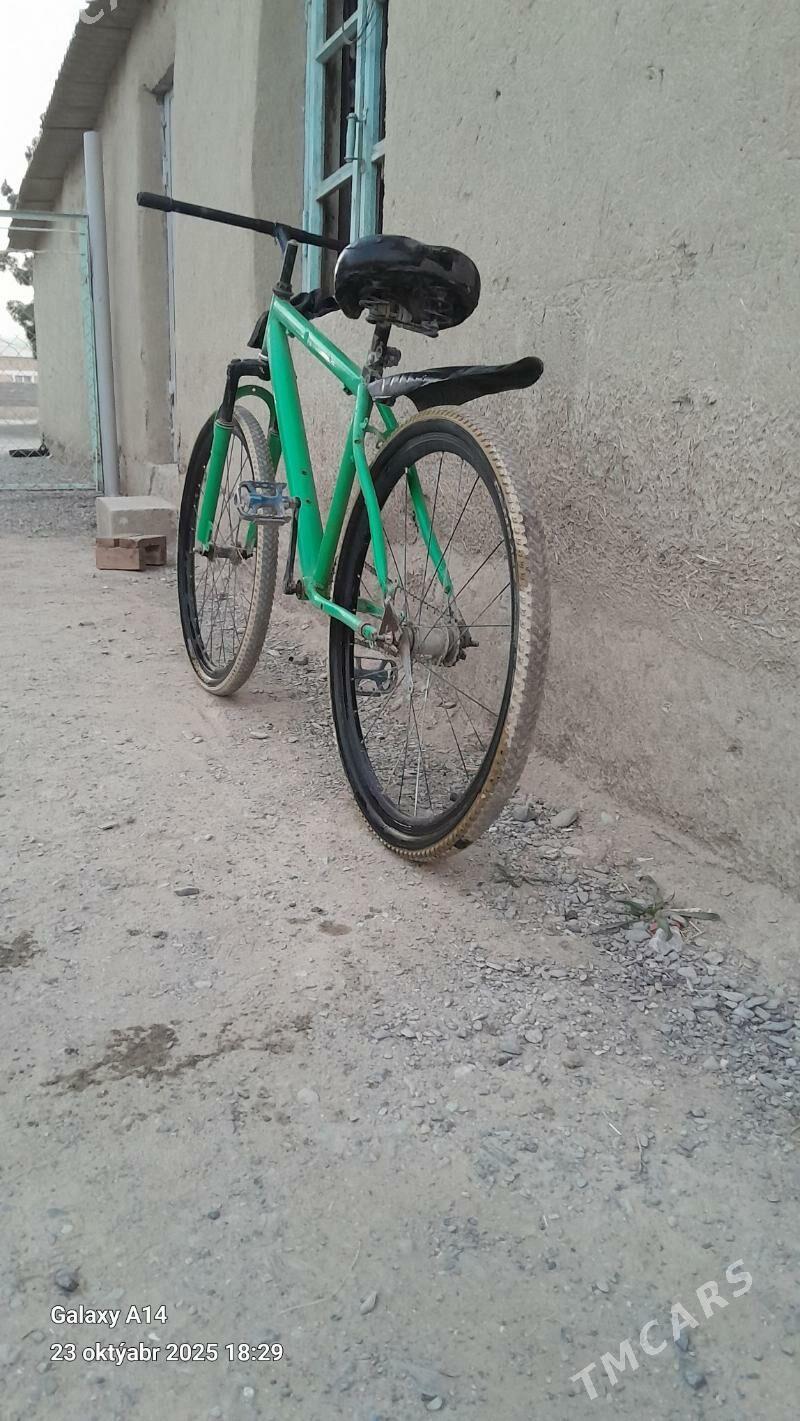 Turkmenistan tigir - Бахарден - img 1