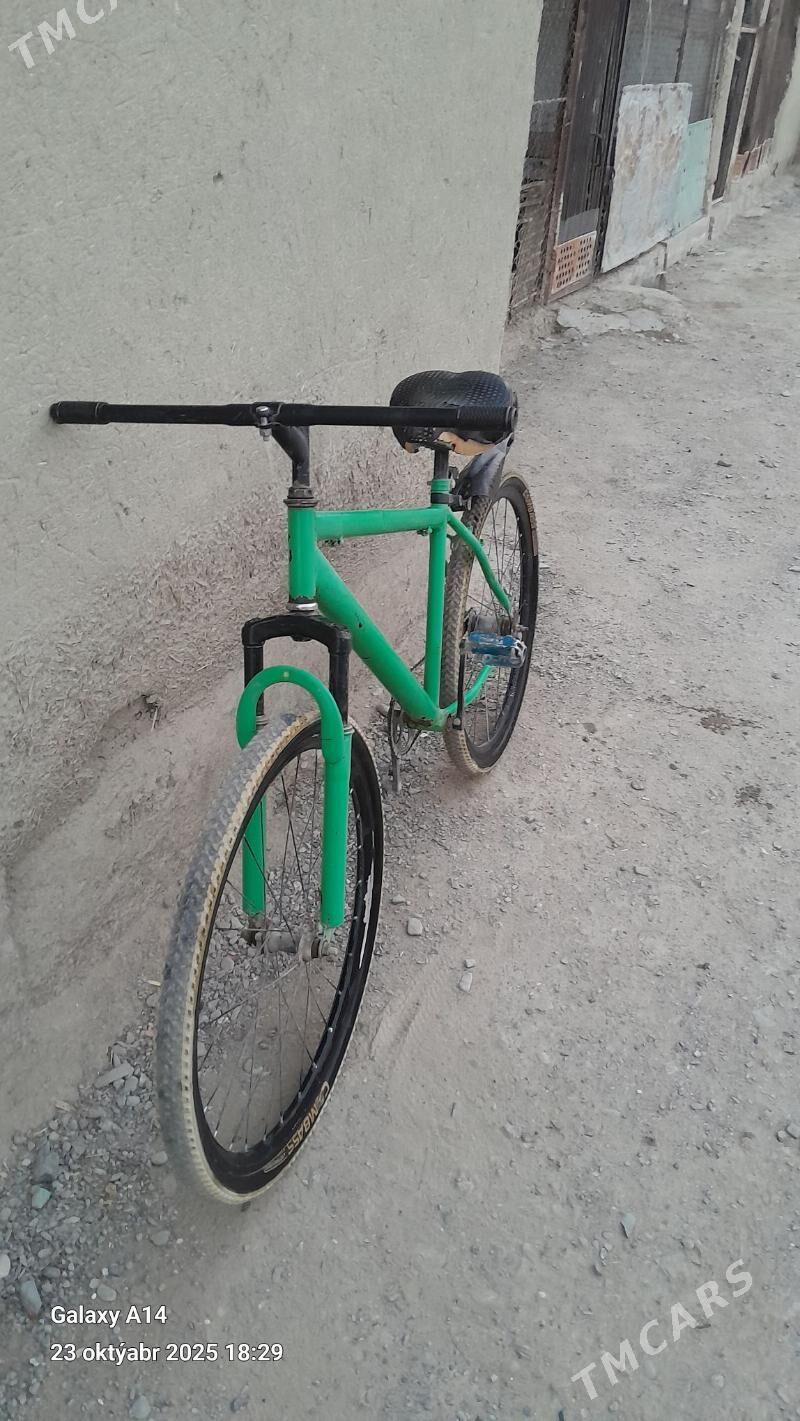 Turkmenistan tigir - Бахарден - img 3